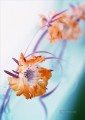写真の花からrps022カスタム